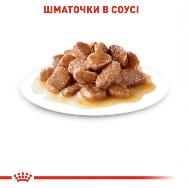 Вологий корм для дорослих котів ROYAL CANIN HAIRBALL CARE 85 г * 12 шт блок