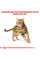 Корм для дорослих котів ROYAL CANIN BENGAL ADULT 2 кг