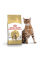 Корм для дорослих котів ROYAL CANIN BENGAL ADULT 2 кг