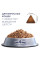 Сухий корм Клуб 4 лапи Premium Hairball Control (виведення шерсті) для дорослих кішок 300 г