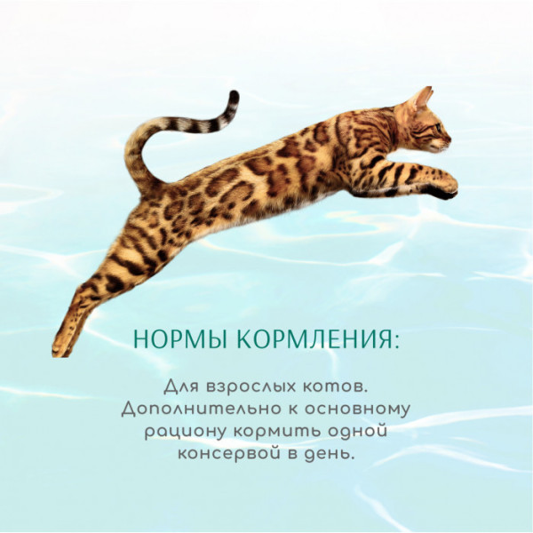 Вологий корм Optimeal Beauty Fitness для котів "Смугастий тунець у соусі з креветками" 70 г