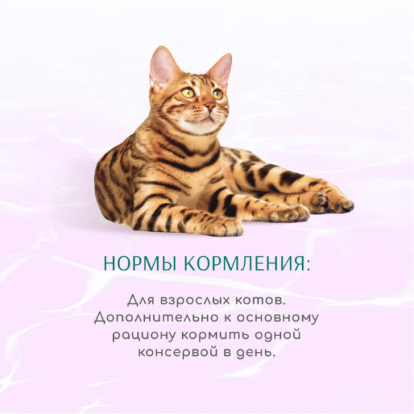 Вологий корм Optimeal Beauty Harmony для котів "Смугастий тунець у желе з морськими водорослями" 70 г