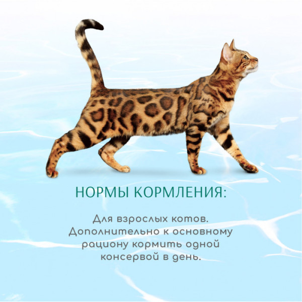 Вологий корм Optimeal Beauty Podium для котів "Смугастий тунець у соусі з кільцями кальмарів" 70 г