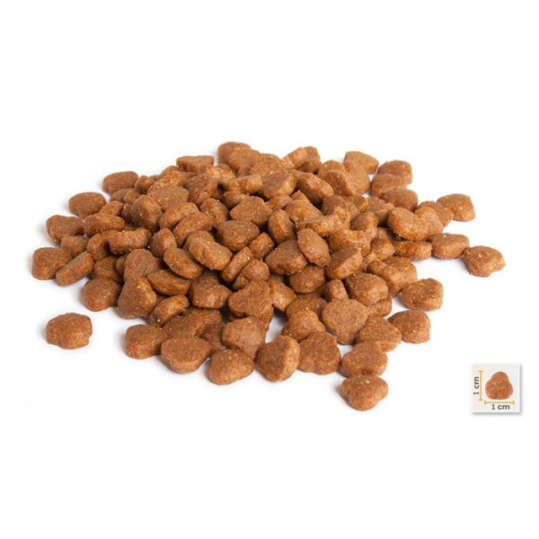 Сухий корм BonaCibo Adult Cat Lamb&Rice з м'ясом ягня та рисом для дорослих кішок з чутливим травленням 5 кг