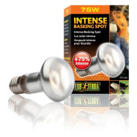 Рефлекторная лампа накаливания Exo Terra «Intense Basking Spot» 75 W, E27 (для обогрева)