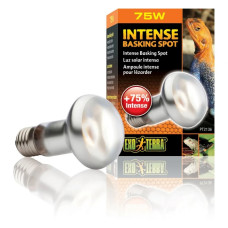 Рефлекторна лампа розжарювання Exo Terra « Intense Basking Spot» 75 W, E27 (для обігріву)