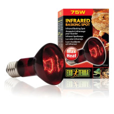 Інфрачервона лампа розжарювання Exo Terra «Infred Basking Spot» 75 W, E27 (для обігріву)