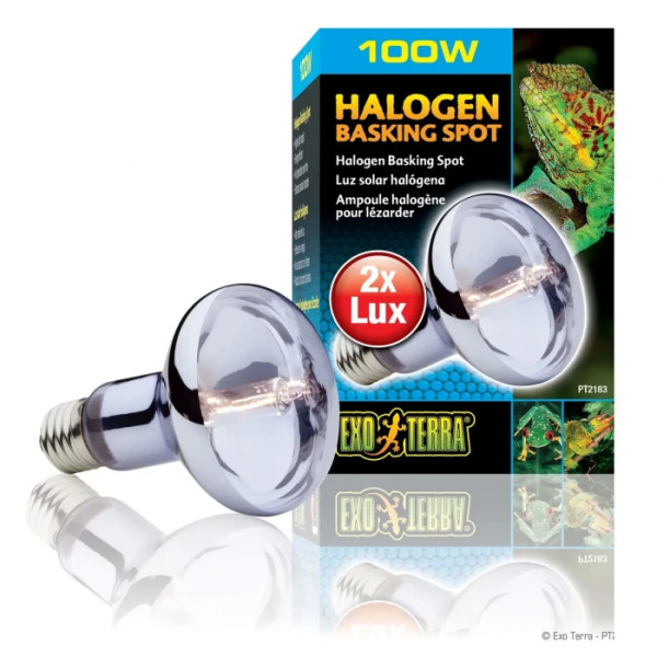 Фологенова лампа Exo Terra «Halogen Basking Spot» 100 W, E27 (для обігріву)