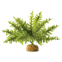Декорация для террариума Exo Terra растение на подставке «Boston Fern» S