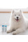 Шампунь для котів та собак з світлою шерстю Vet Expert Detox Care Pure White Shampoo, 250 мл