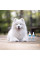 Шампунь для котів та собак з світлою шерстю Vet Expert Detox Care Pure White Shampoo, 250 мл