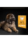 Сухий корм Про план (ProPlan) для цуценят великих порід, з куркою 12 кг
