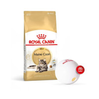 Корм для взрослых кошек ROYAL CANIN MAINE COON ADULT 4 кг + диспенсер в подарок