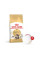 Купить Корм для взрослых кошек ROYAL CANIN MAINE COON ADULT 4 кг + диспенсер в подарок