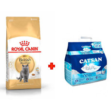 Акція! Корм для дорослих котів ROYAL CANIN BRITISH SHORTHAIR ADULT 4 кг + Catsan 5 л