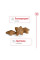 Корм для дорослих собак ROYAL CANIN MINI ADULT 8 кг + 1 таблетка Бравекто 4,5-10 кг в подарунок!