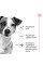 Корм для зрілих собак ROYAL CANIN MINI AGEING 12+ 800 г