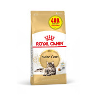 Акция! Royal Canin Maine Coon Adult сухой корм для кошек 1,6 кг + 400 г