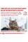 Корм для дорослих котів ROYAL CANIN URINARY S/O CAT 3.5 кг