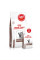 Купить Акция! Сухой корм для взрослых котов ROYAL CANIN GASTRO INTESTINAL CAT 2.0 кг + 400 г в подарок!
