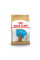 Купить Сухой корм для щенков Royal Canin Poodle Puppy 500 г