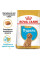 Купить Сухой корм для щенков Royal Canin Poodle Puppy 500 г