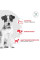 Купить Сухий корм для собак ROYAL CANIN GLYCOBALANCE SMALL DOG 1.5 кг