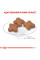 Корм для дорослих собак ROYAL CANIN MINI ADULT 8+ 800 г