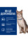 Вологий корм Hills (Хілс) PD Feline k/d Kidney Care з яловичиною для котів із захворюваннями нирок 85 г*12 шт